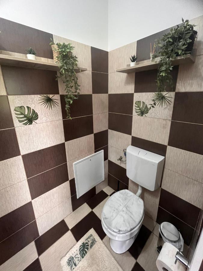 Natura City Center Studio Брашов Екстер'єр фото